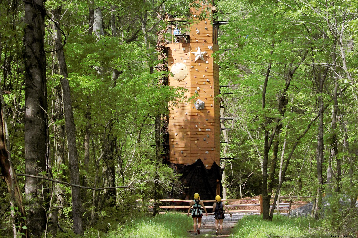 Alabama s Top Dishes: A Culinary Road Trip Guide from North to South